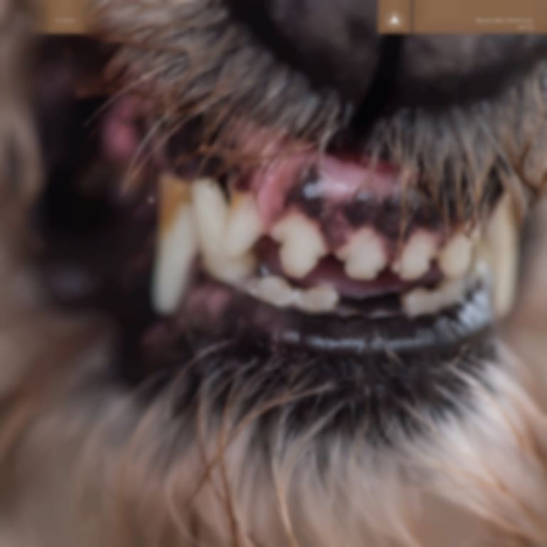 Blanck Mass