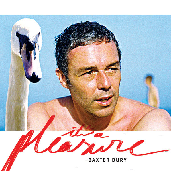 It's A Pleasure by Baxter Dury Album Review The Line Of Best Fit