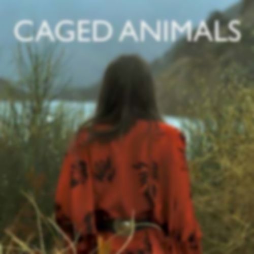 Caged Animals announce new EP, reveal new video