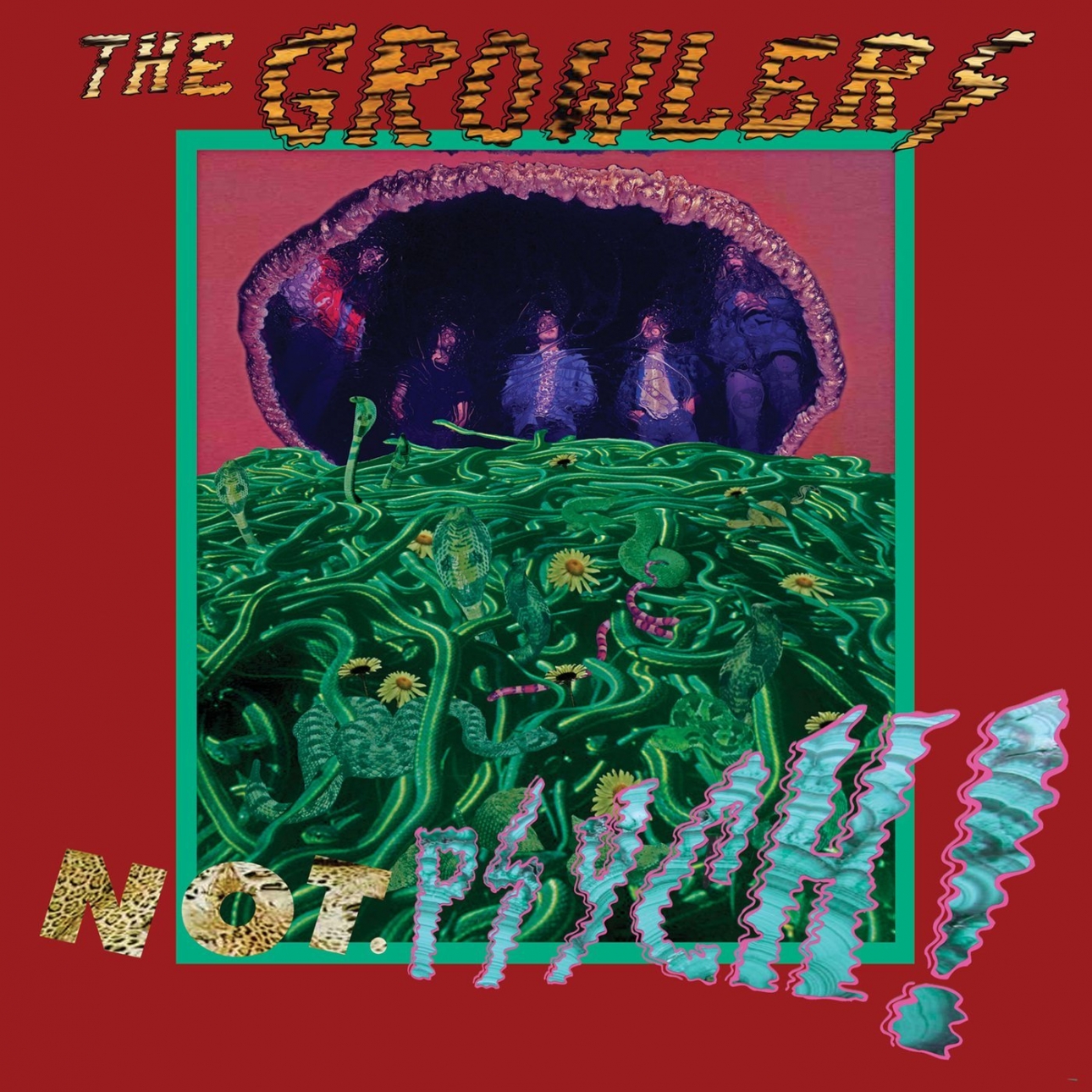 EP Review The Growlers Not.Psych! EP