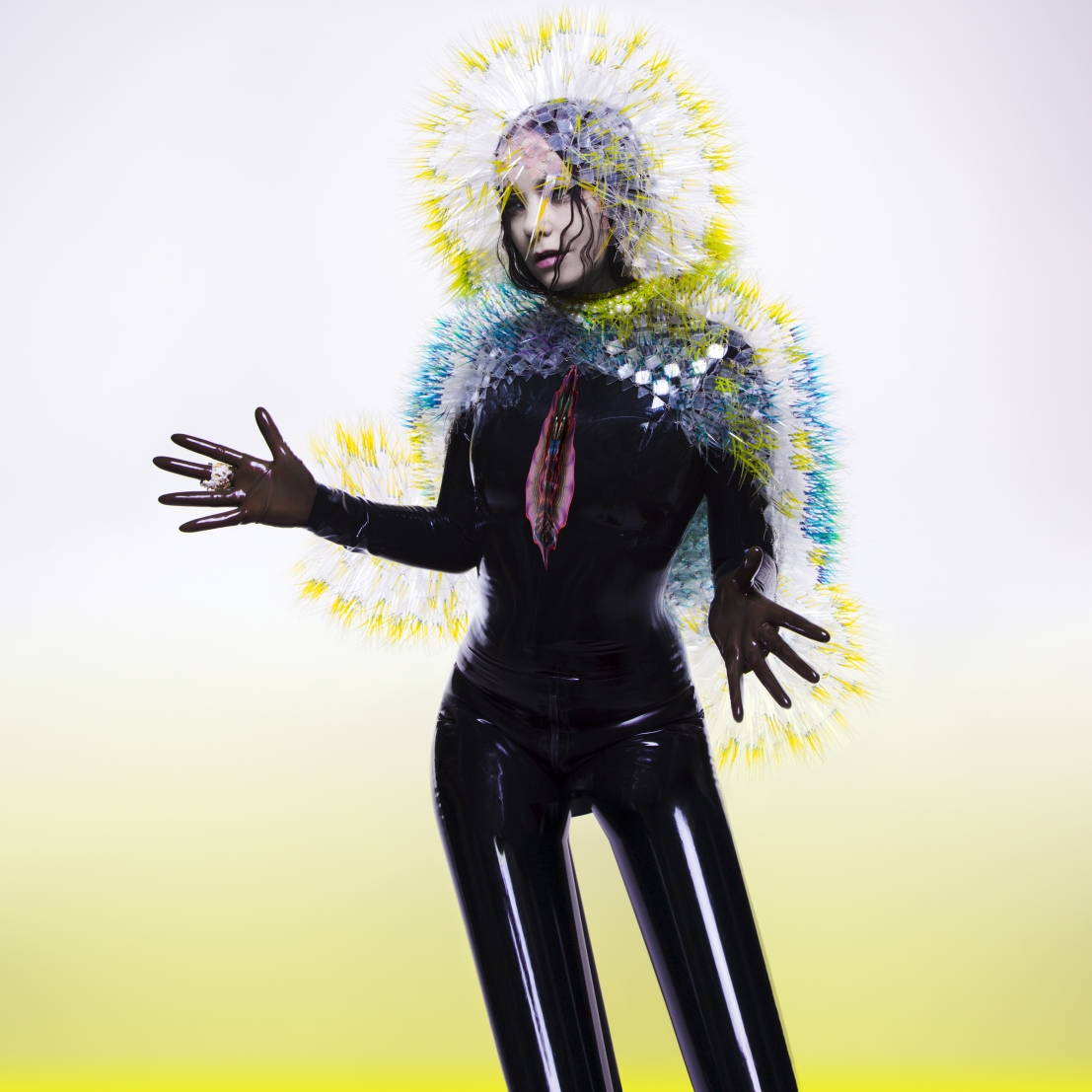 Bjork album cover