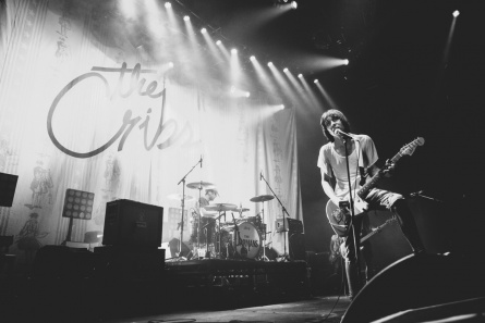 The Cribs Reviews Songs And News