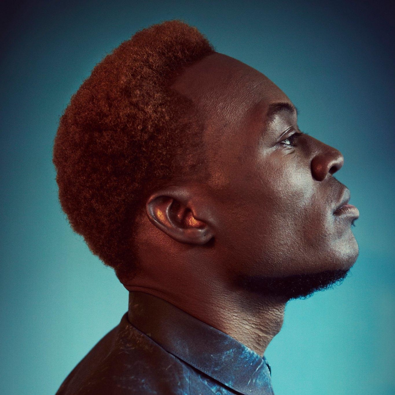 All Apologies Benga all-apologies-benga