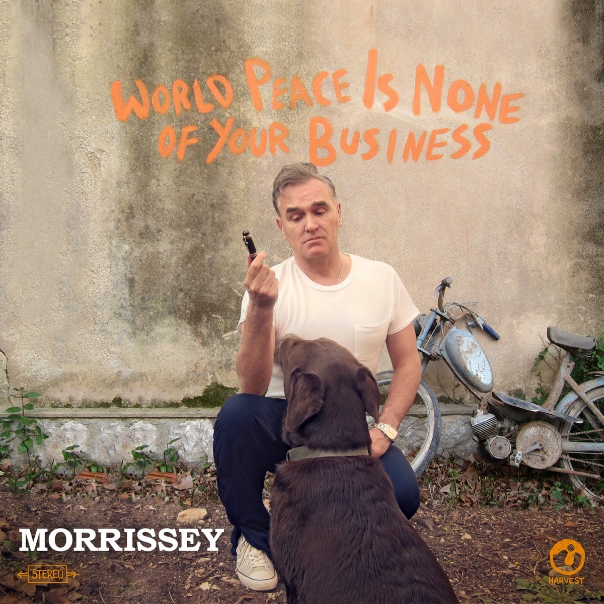 Image result for Morrissey – "World Peace Is None of Your Business"