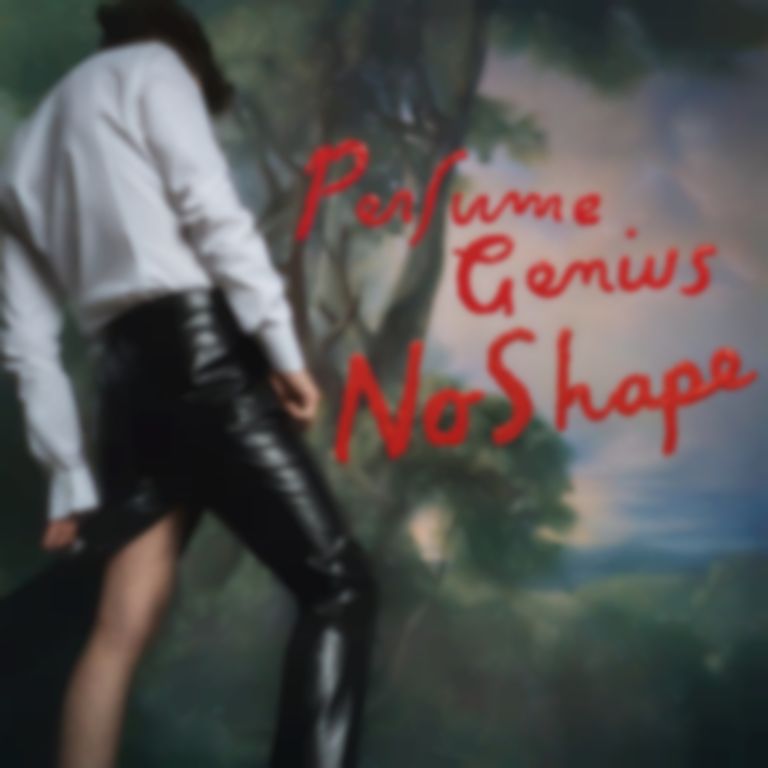 <em>No Shape</em> by Perfume Genius