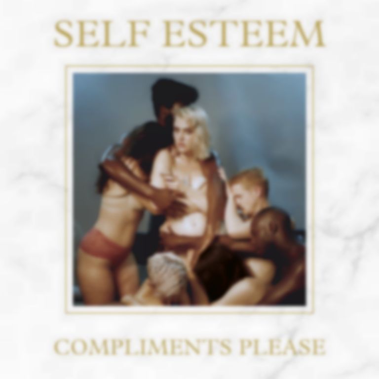 <em>Compliments Please</em> by Self Esteem