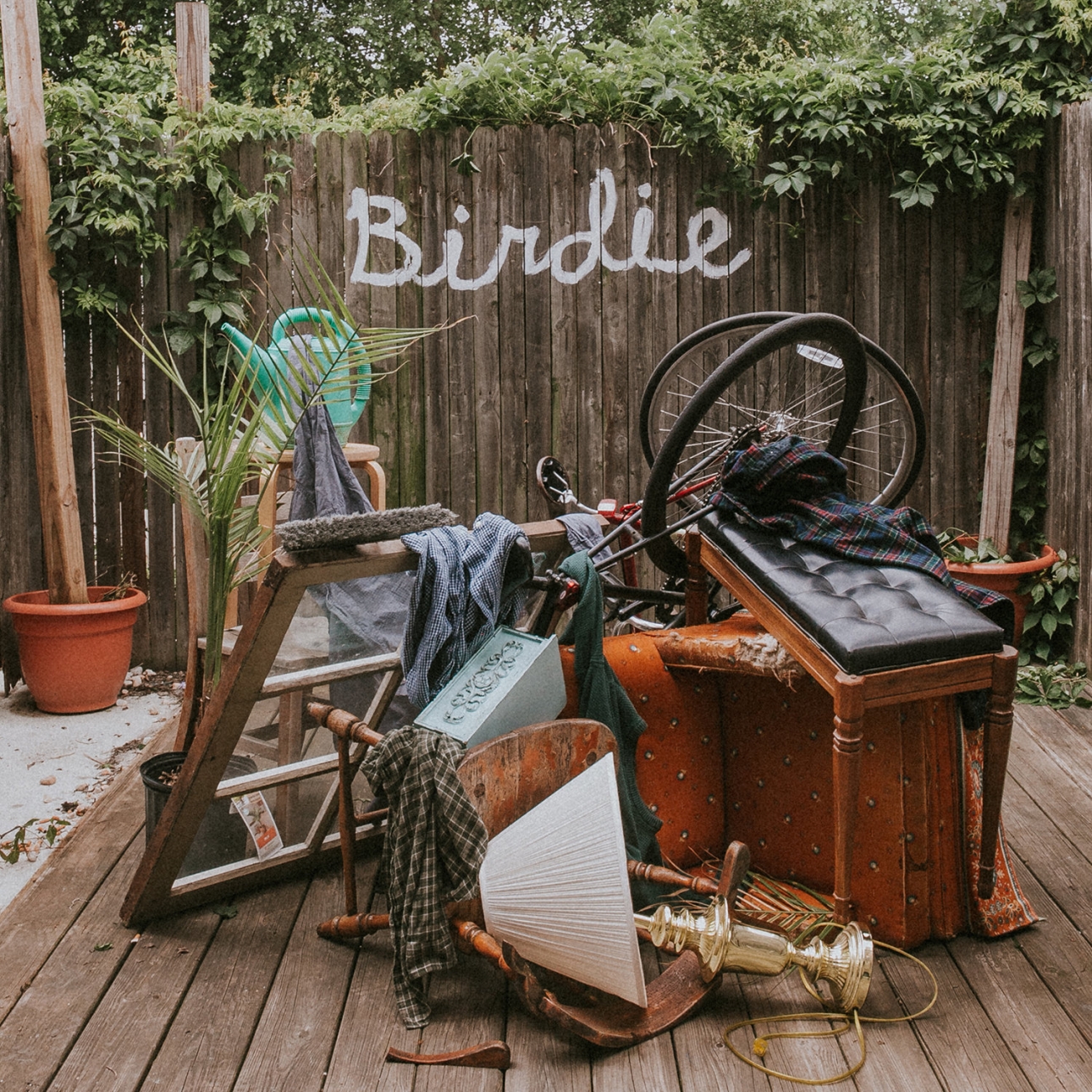 Birdie By Slaughter Beach Dog Album Review