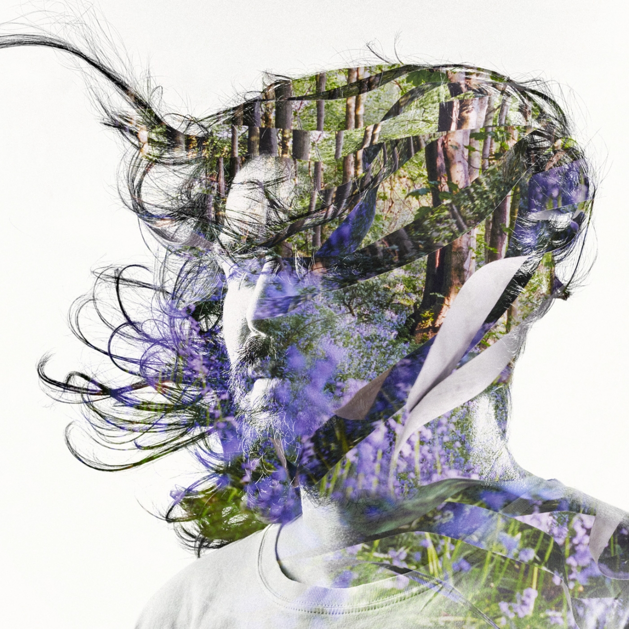 Bibio Ribbons Album Review