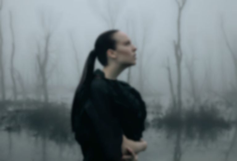 Allie X writes about the importance of gut health