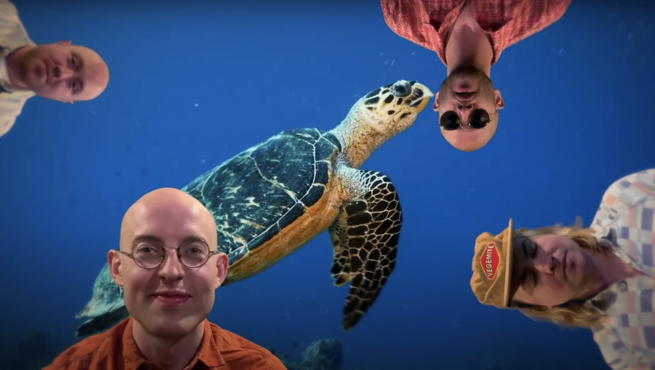 Bombay Bicycle Club Celebrate World Turtle Day With Cover Of Grateful Dead S Terrapin Station Bombay Bicycle Club Celebrate World Turtle Day With Cover Of Grateful Dead S Terrapin Station