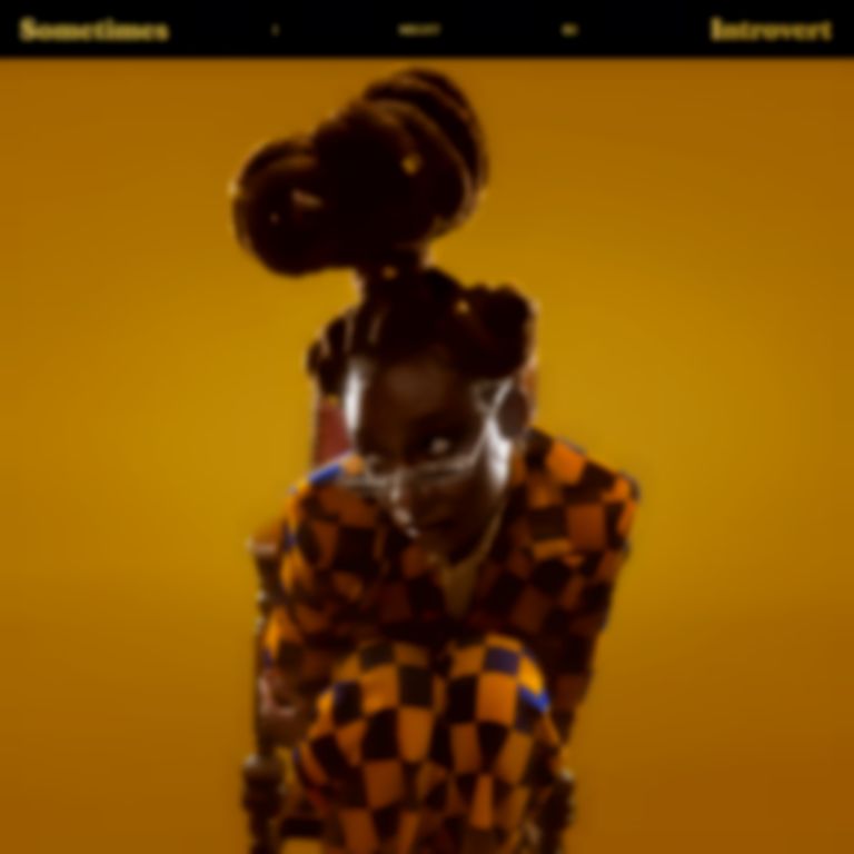 <em>Sometimes I Might Be Introvert</em> by Little Simz