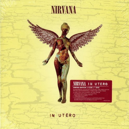 Image result for nirvana albums