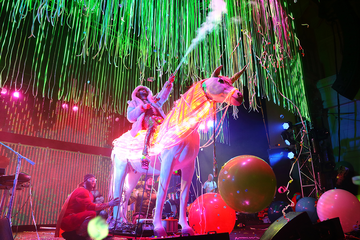 the flaming lips the w.a.n.d