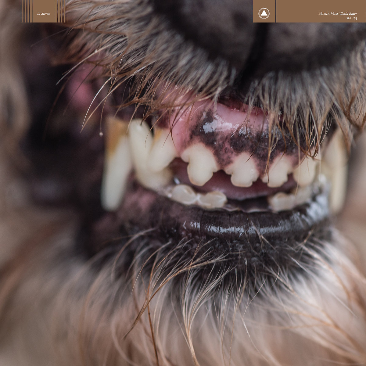 World Eater by Blanck Mass Album Review