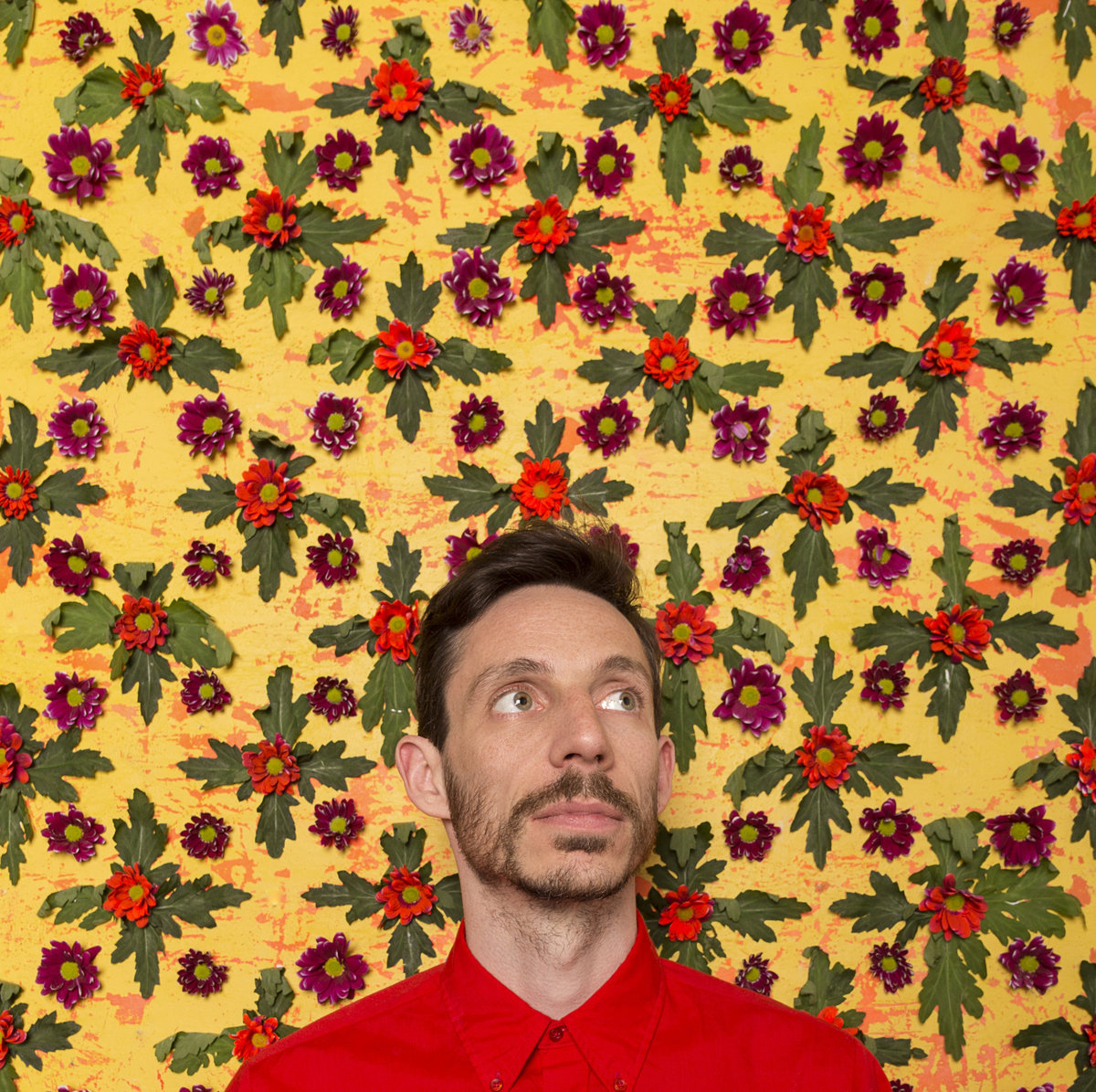 the ominous parallels free download the ominous parallels free download