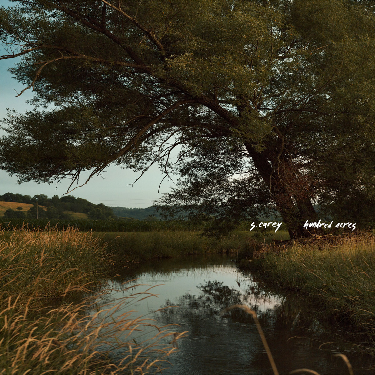 Hundred Acres By S Carey Album Review