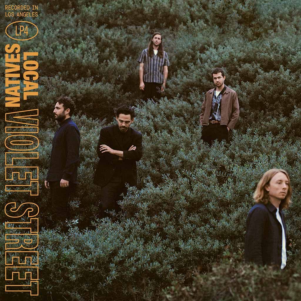 Image result for local natives violet street