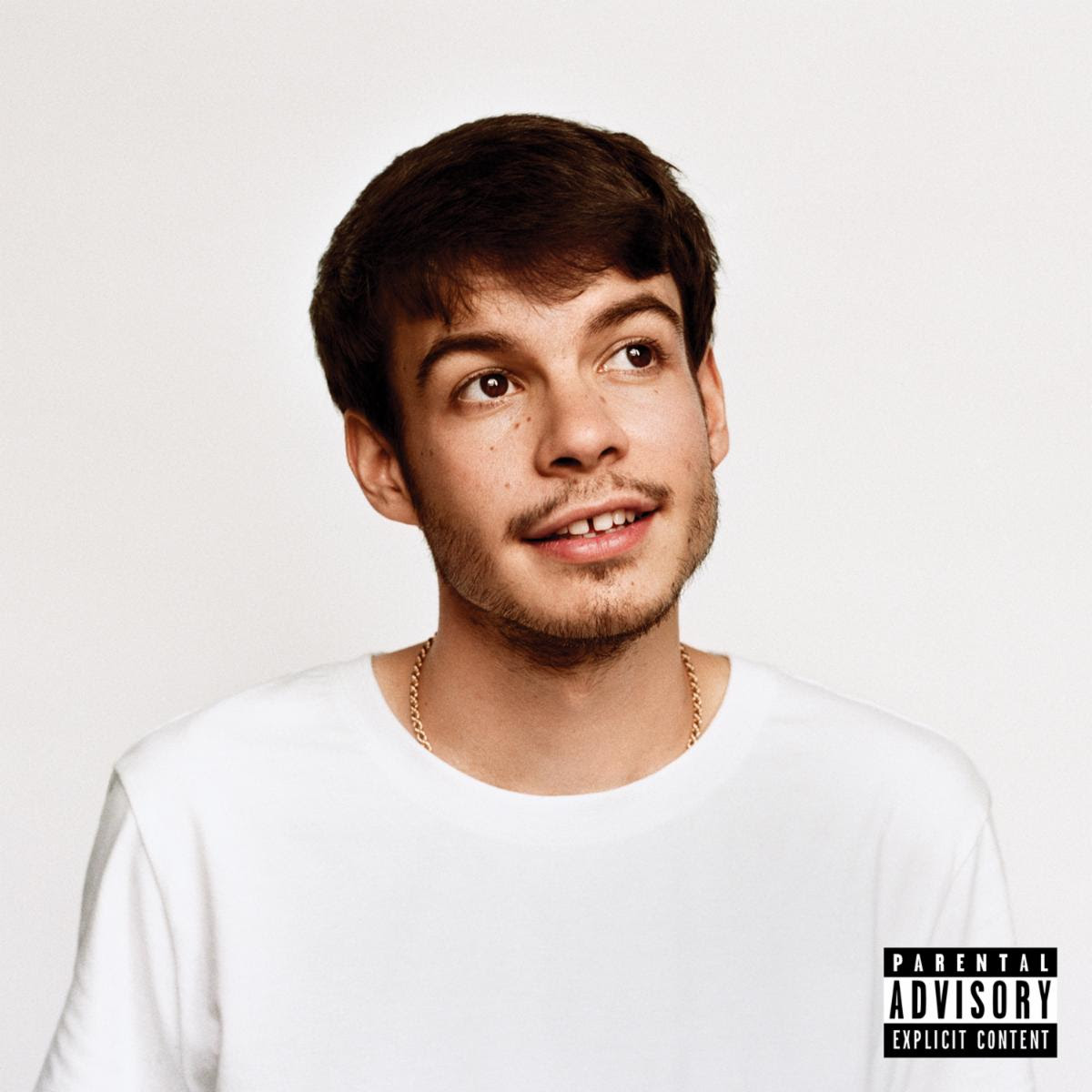 Rex Orange County Pony Album Review