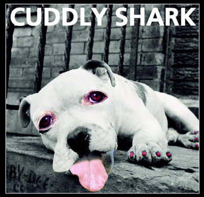 sharkalbum72dpi sharkalbum72dpi