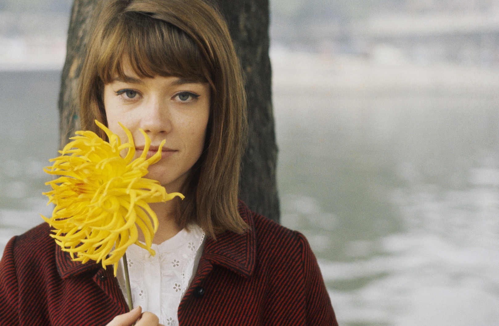 The fleeting voice of a generation: Françoise Hardy’s first five albums reassessed